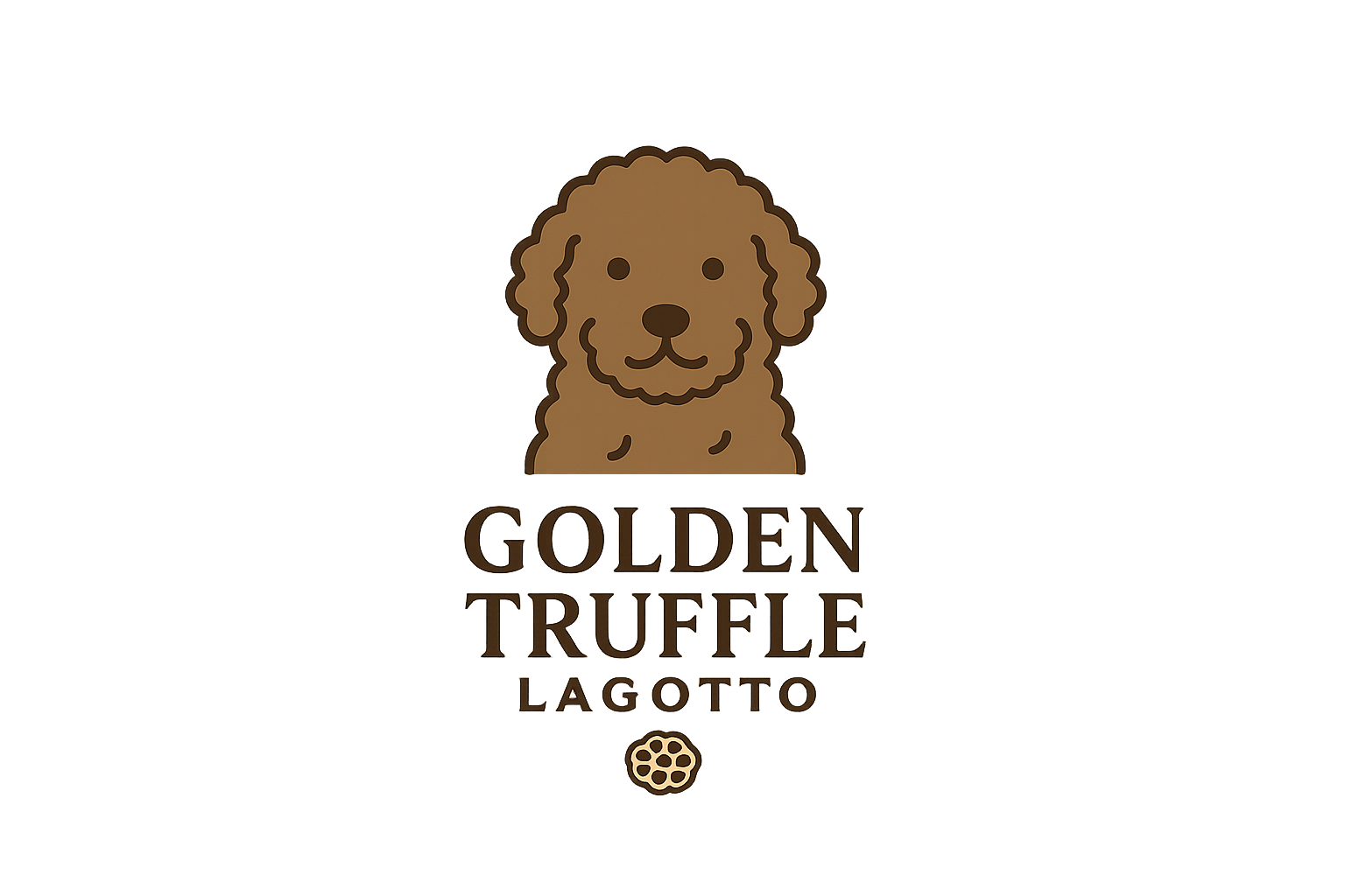 Golden Truffle Lagotto
