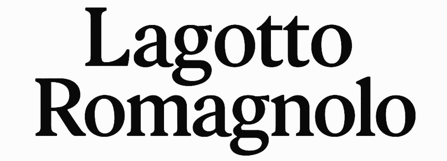 lagottoromagnolo-puppies