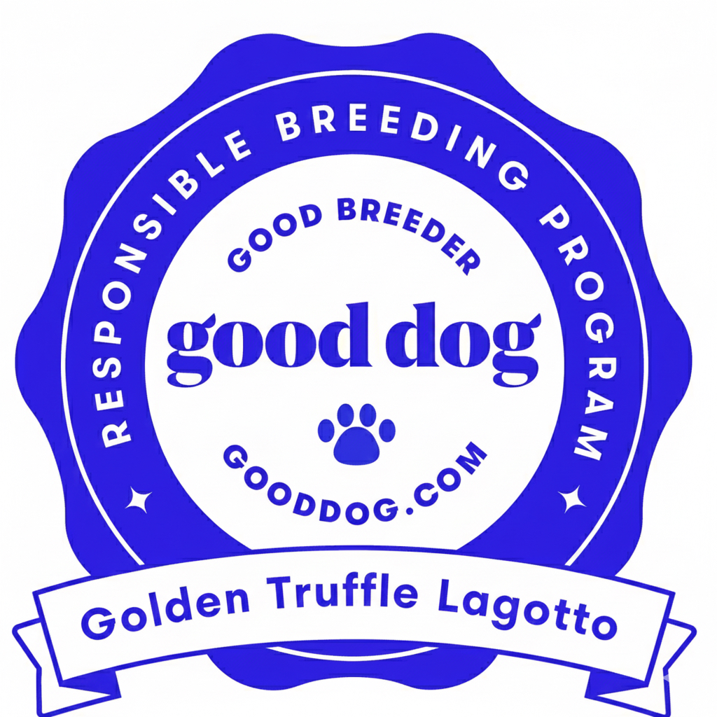 Good Dog Responsible Breeder – Golden Truffle Lagotto Lagotto Romagnolo puppies