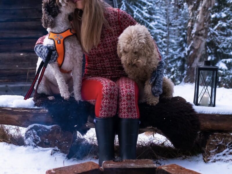Woman sitting outdoors in winter with two Lagotto Romagnolo dogs, showcasing their affectionate temperament and curly coats.