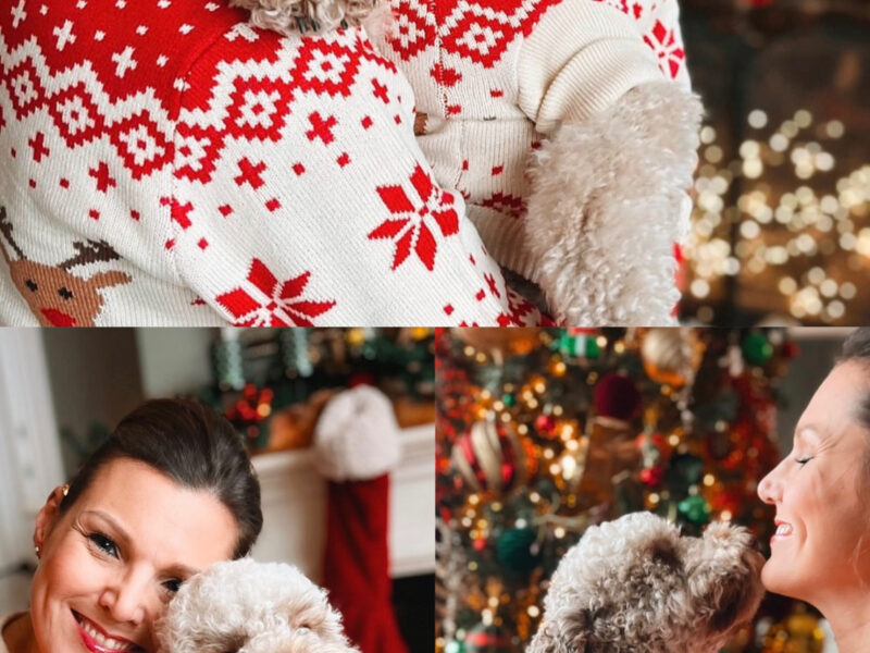 Golden Truffle Lagotto