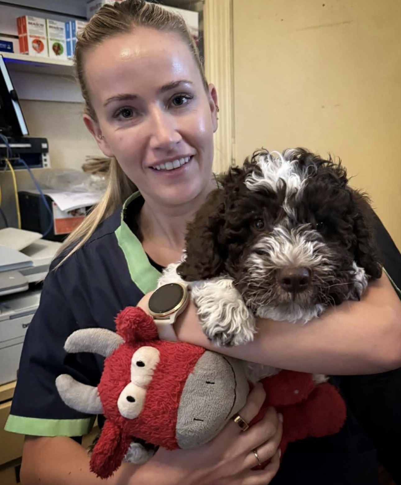Veterinarian holding a Lagotto Romagnolo puppy during a health check — premium Lagotto Romagnolo puppies for sale USA from Golden Truffle Lagotto