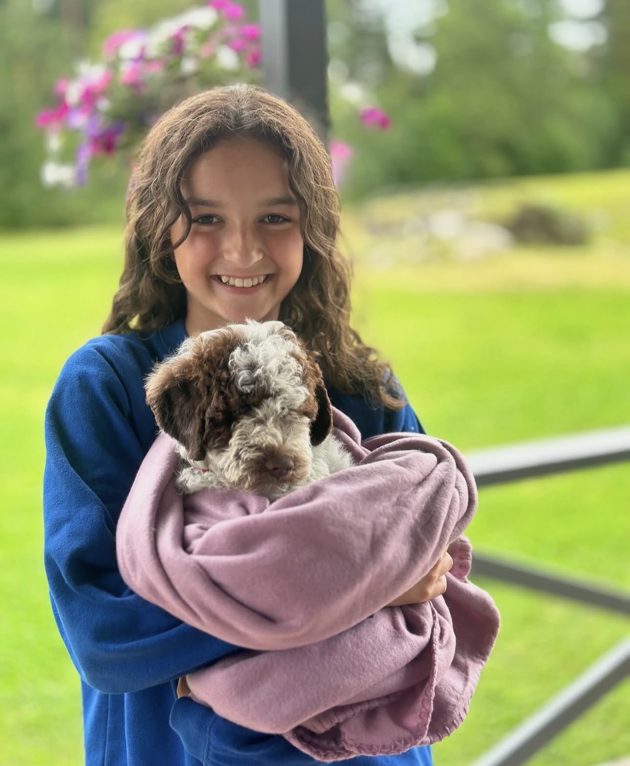Girl hugging a small brown and white Lagotto Romagnolo puppy in a blanket.