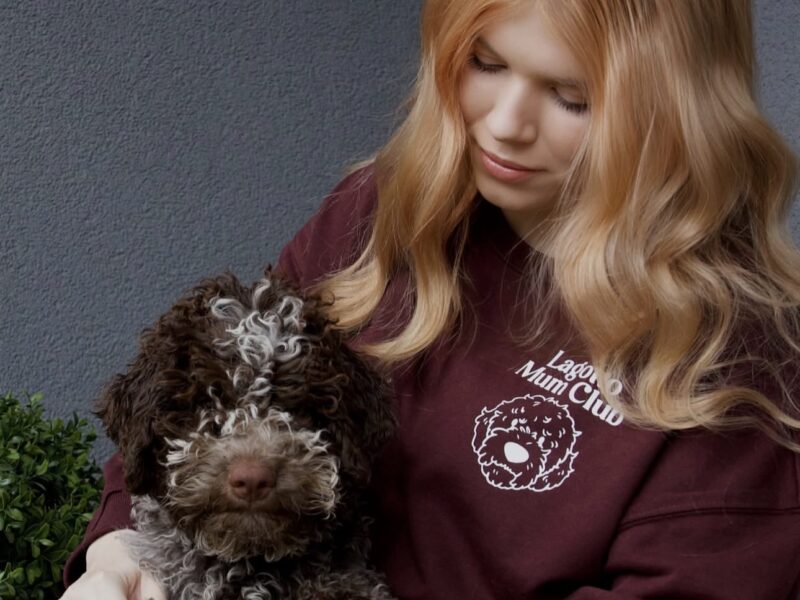 Woman holding a cream-colored Lagotto Romagnolo puppy with light eyes.