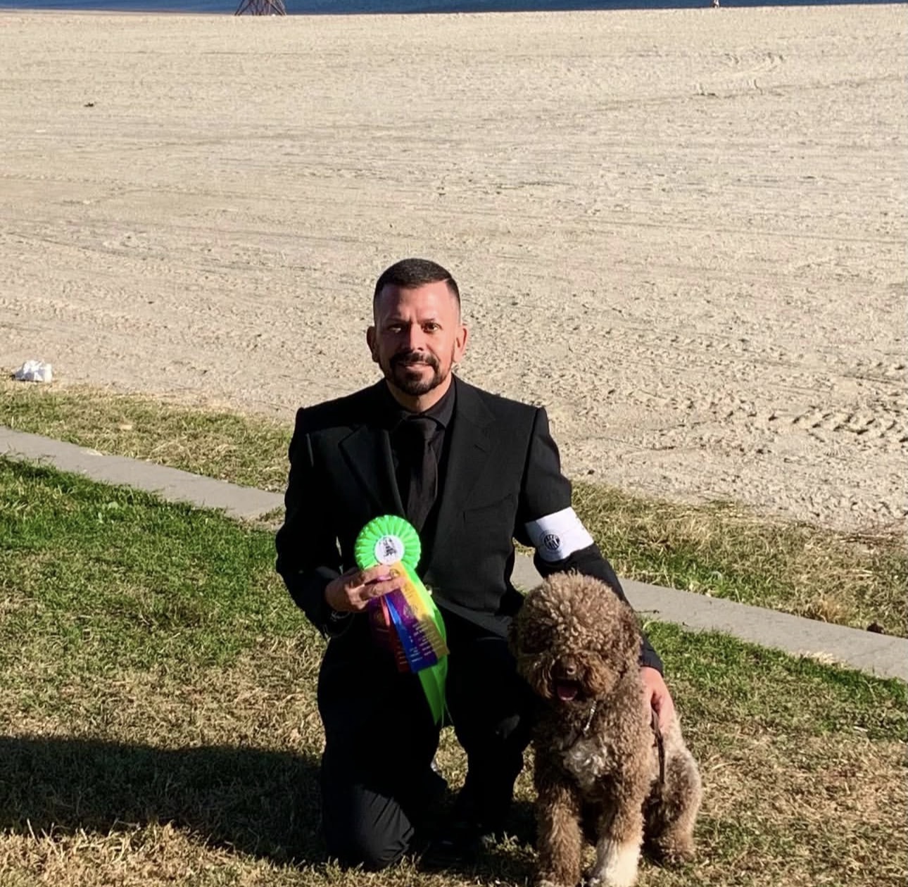 Award-winning Lagotto Romagnolo show dog with a green competition ribbon.