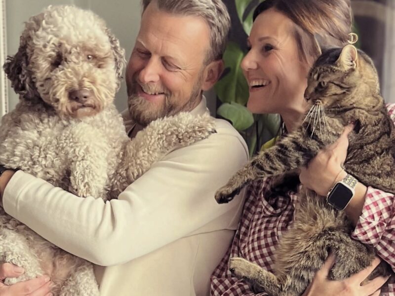 Lagotto Romagnolo dog and a tabby cat living together in a happy home.