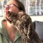 Golden Truffle Lagotto