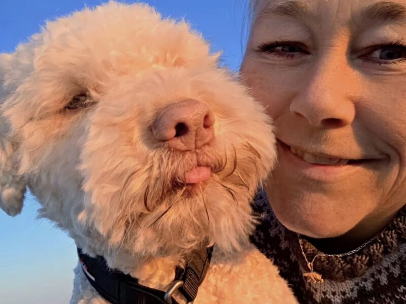 Golden Truffle Lagotto