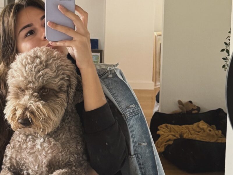 Golden Truffle Lagotto