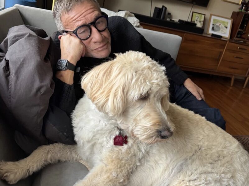 Golden Truffle Lagotto