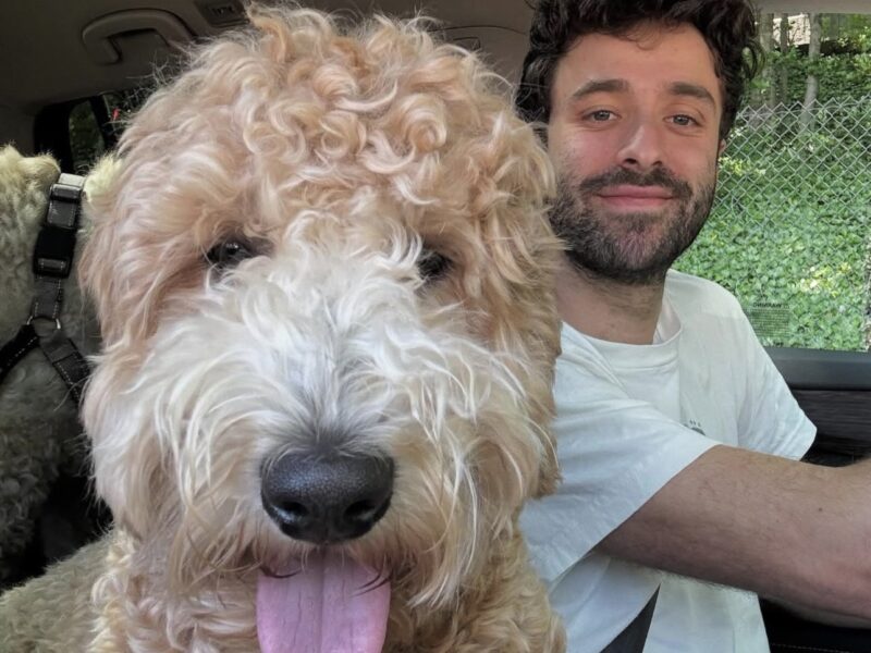 Golden Truffle Lagotto